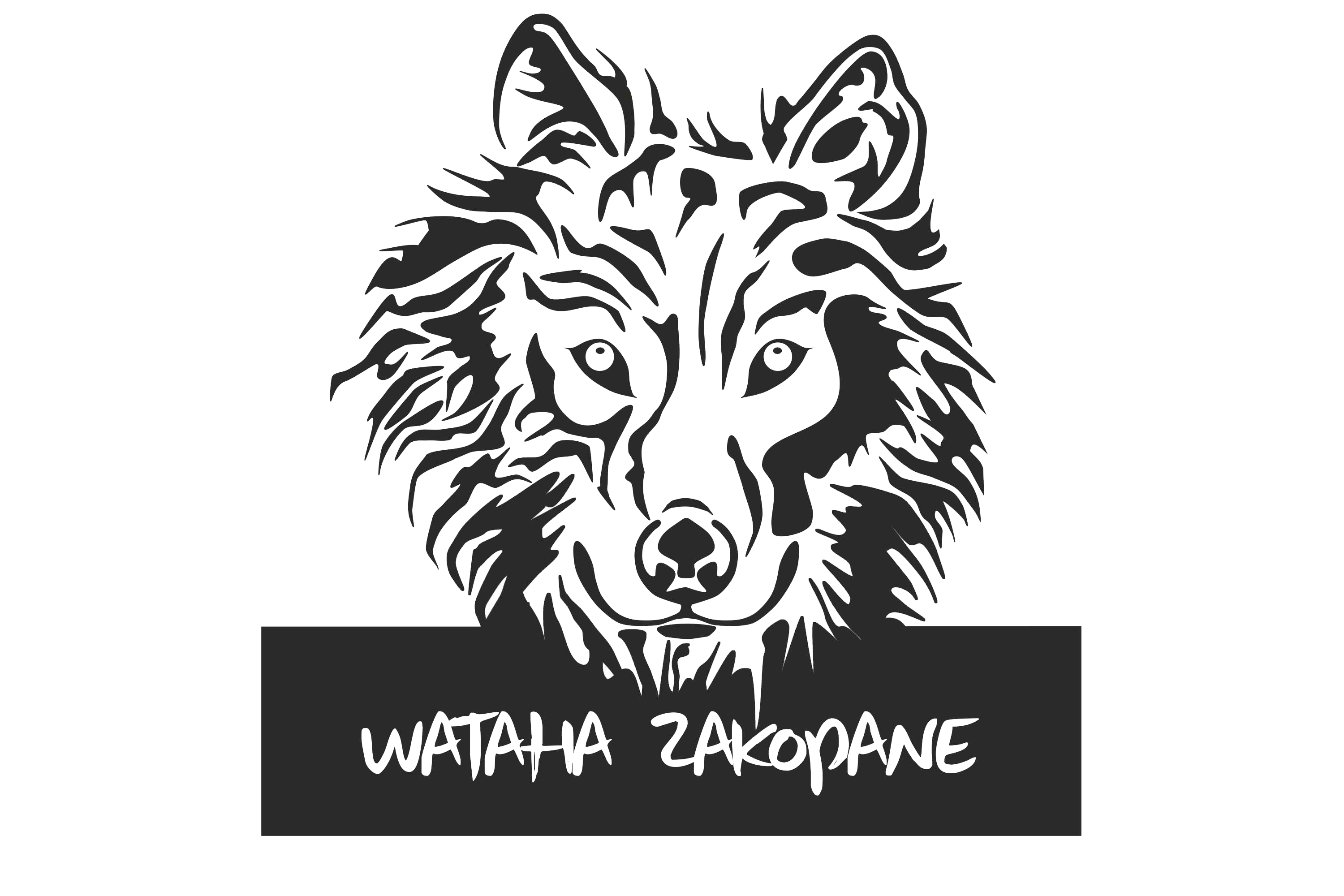 Domki i apartamenty w centrum Zakopanego